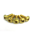 GR5 Hex M3 Titanium Scoket Button head bolt